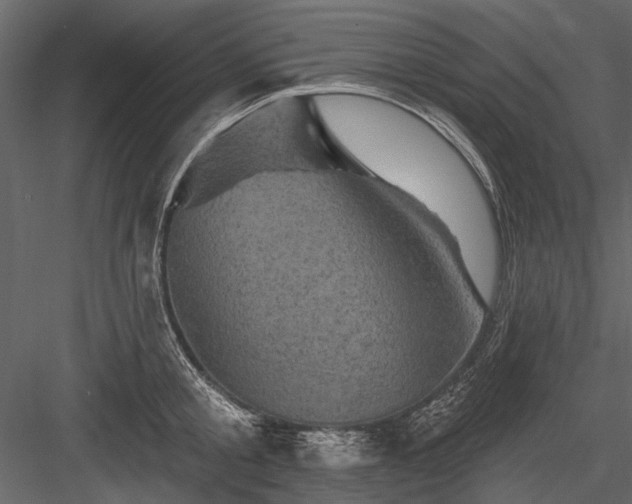 X0000084050805200702232350