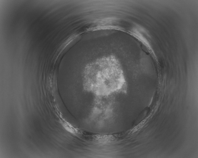 X0000084050809200702232350