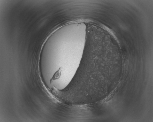 X0000084050810200702232350