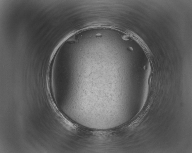 X0000084050812200702232350