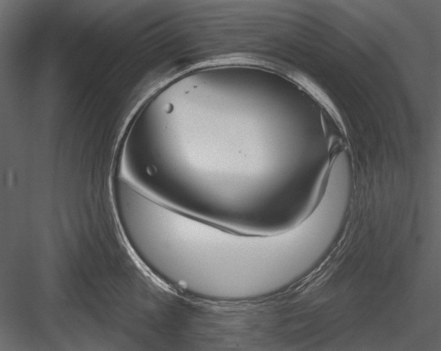 X0000084050813200702232350