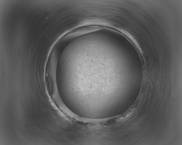 X0000084050815200702232350