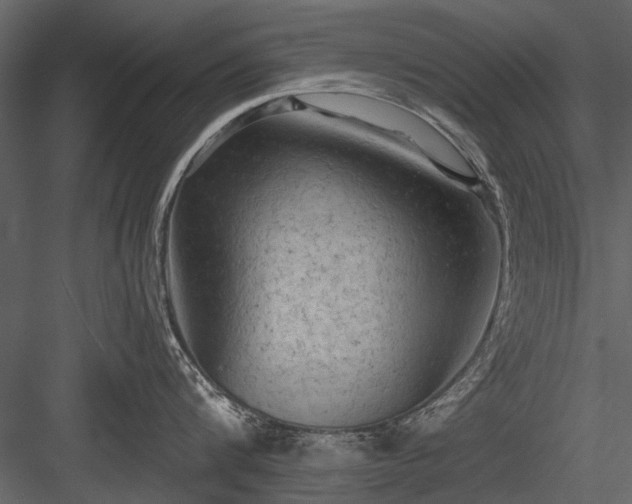 X0000084050816200702232350