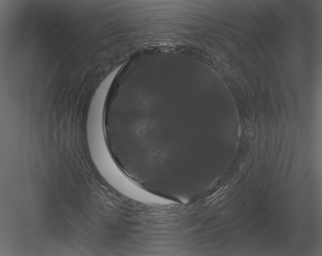 X0000084050818200702232349