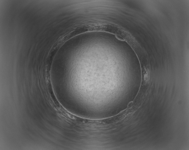 X0000084050819200702232349