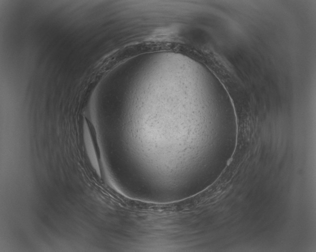 X0000084050821200702232349