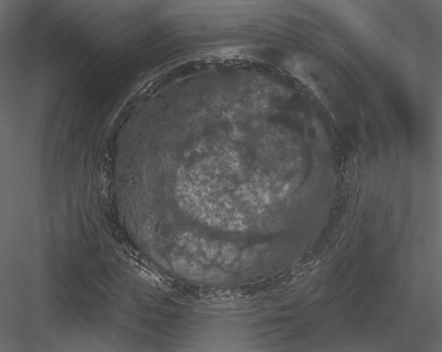 X0000084050823200702232349