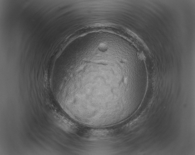 X0000084050825200702232349