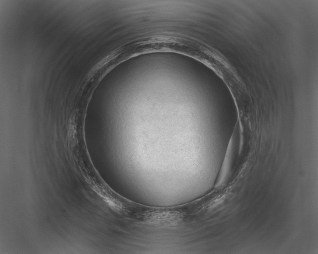 X0000084050826200702232349