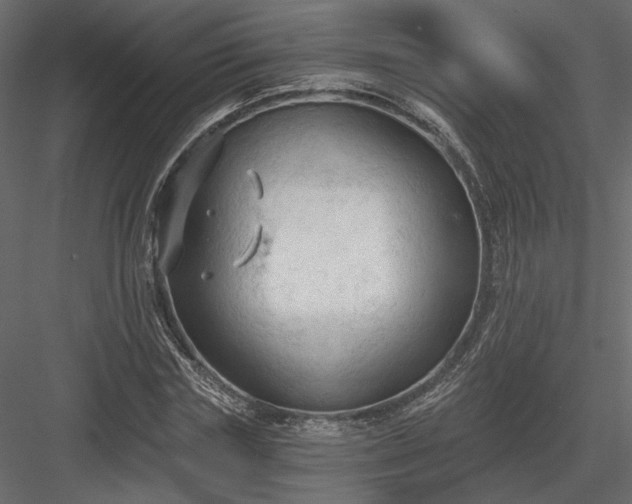 X0000084050827200702232349