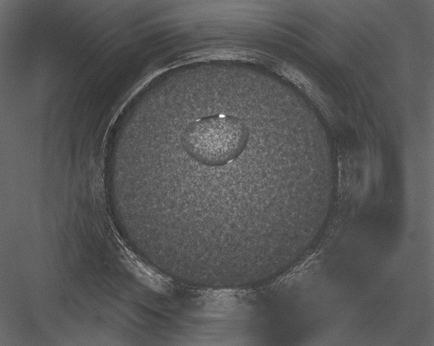 X0000084050828200702232349