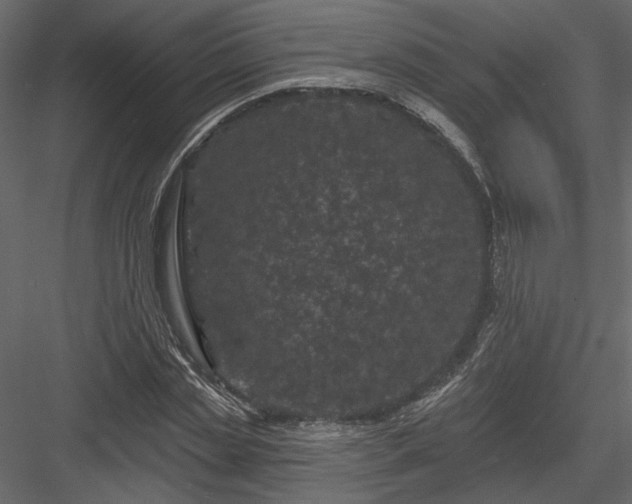 X0000084050829200702232349