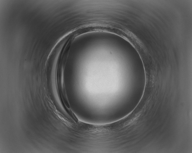 X0000084050830200702232349