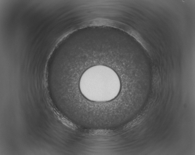 X0000084050832200702232349