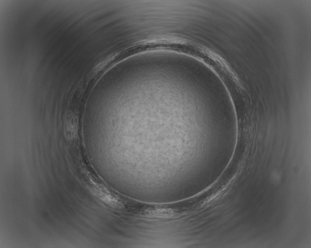 X0000084050833200702232349