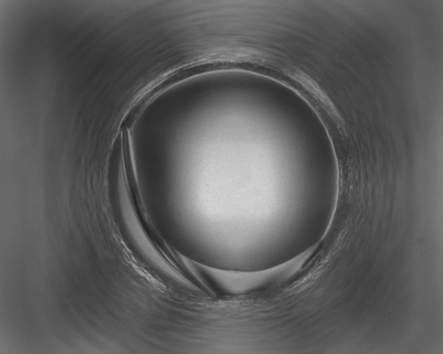 X0000084050834200702232349