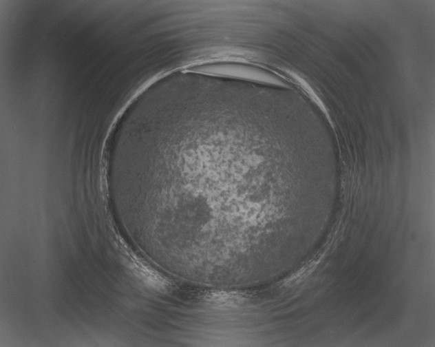 X0000084050835200702232349