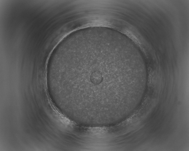 X0000084050836200702232349