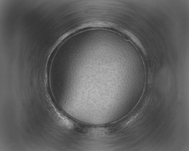 X0000084050837200702232349