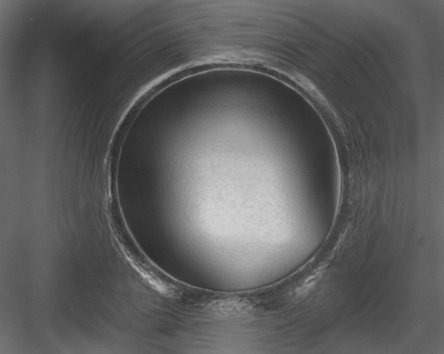 X0000084050838200702232349