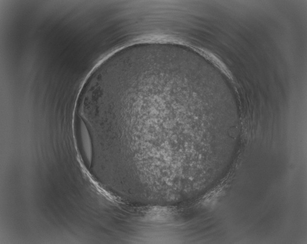 X0000084050839200702232349