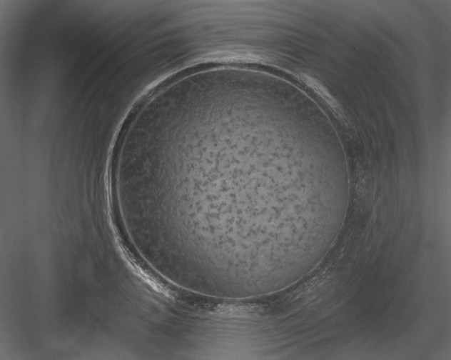 X0000084050840200702232349