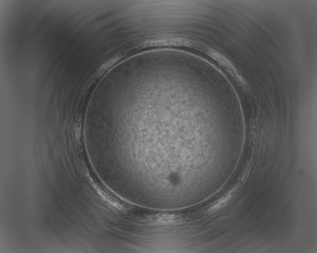 X0000084050841200702232349