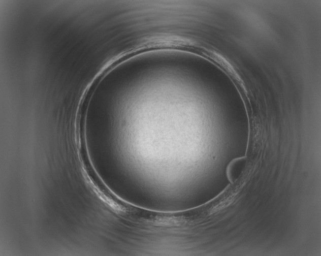 X0000084050843200702232349