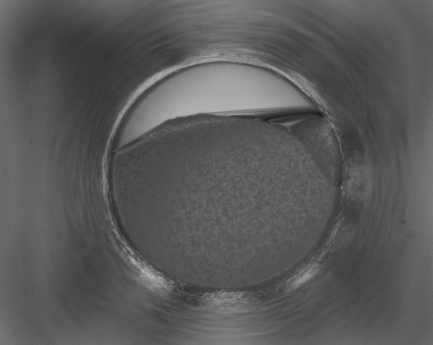 X0000084050846200702232349