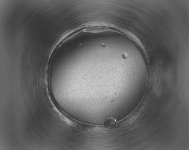 X0000084050847200702232349