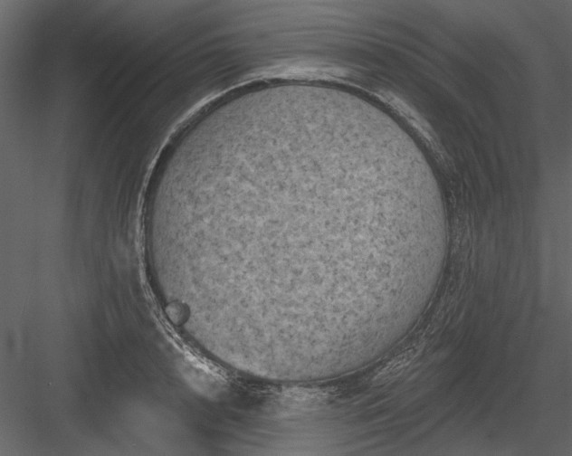 X0000084050848200702232349