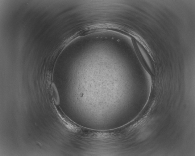 X0000084050849200702232349