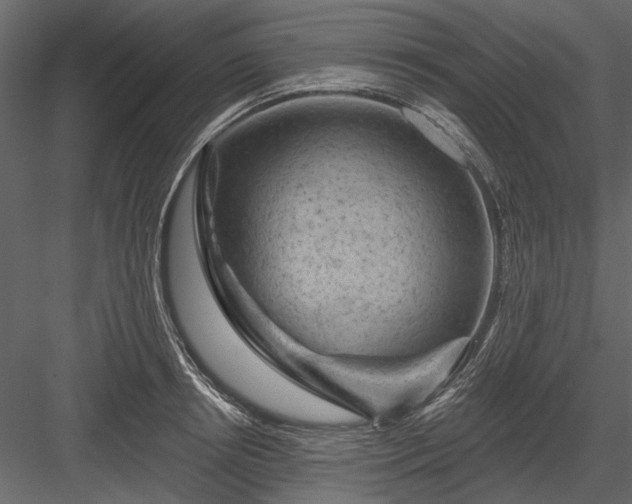 X0000084050850200702232349