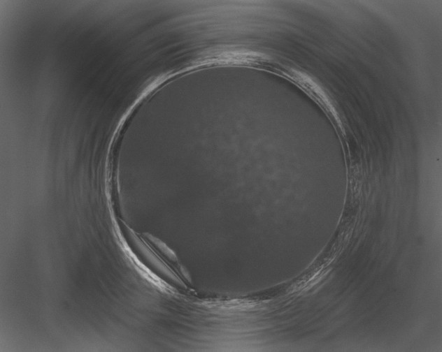 X0000084050851200702232349