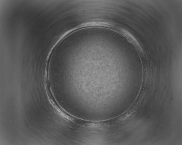 X0000084050852200702232349