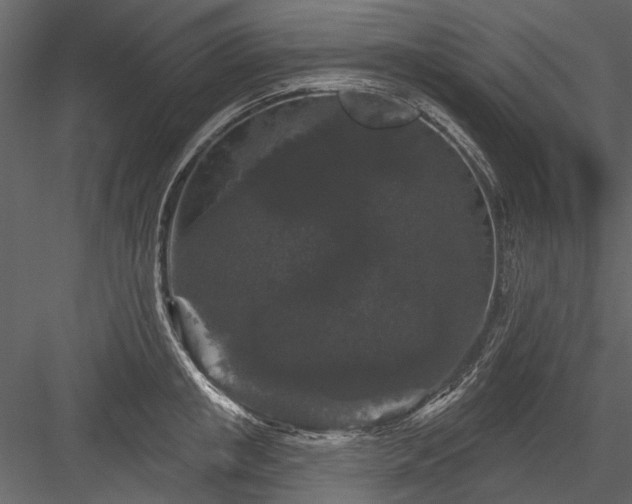 X0000084050853200702232349