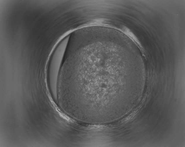 X0000084050854200702232349