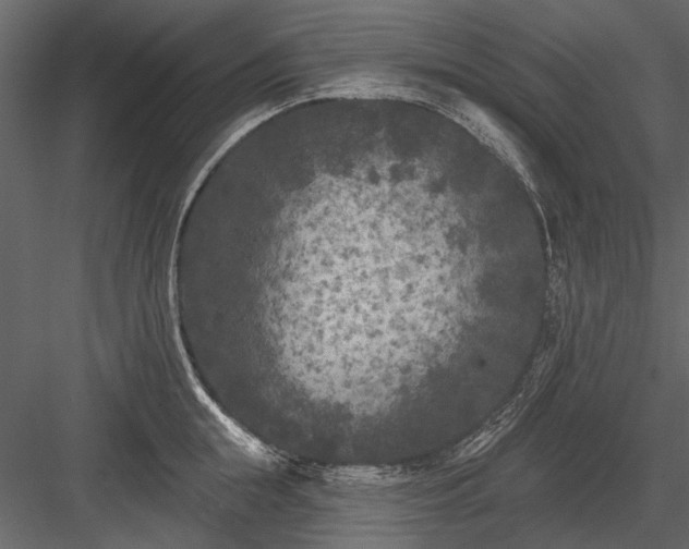 X0000084050855200702232349