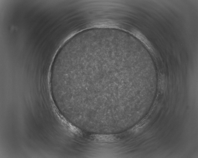 X0000084050856200702232349