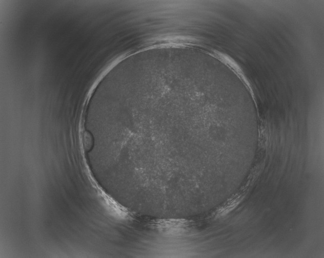 X0000084050859200702232349