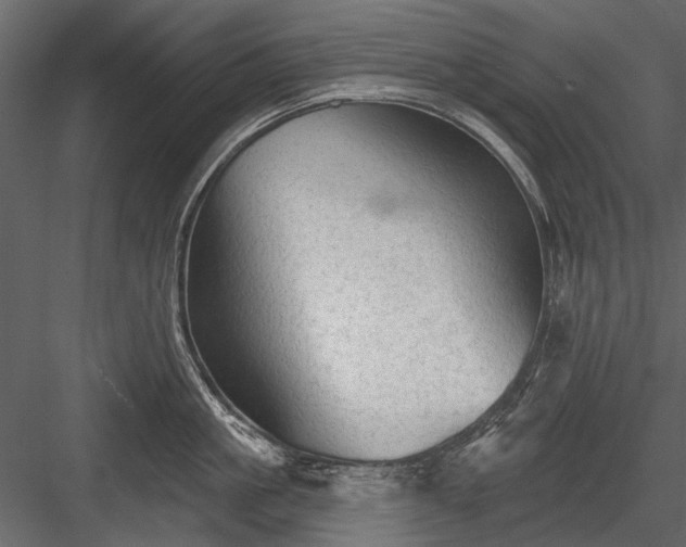 X0000084050861200702232349