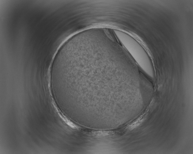 X0000084050862200702232349