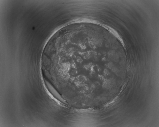 X0000084050863200702232349