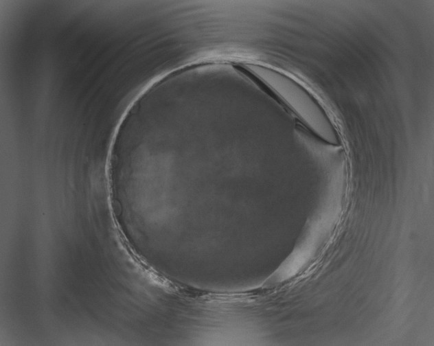 X0000084050864200702232350