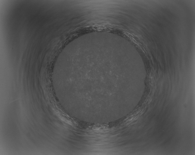 X0000084050865200702232349