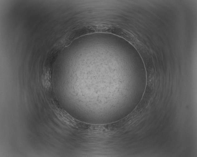 X0000084050866200702232349