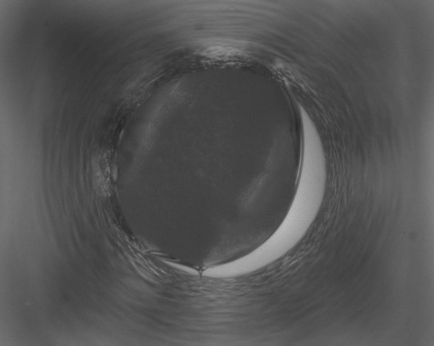 X0000084050868200702232349