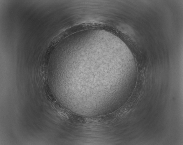 X0000084050870200702232349