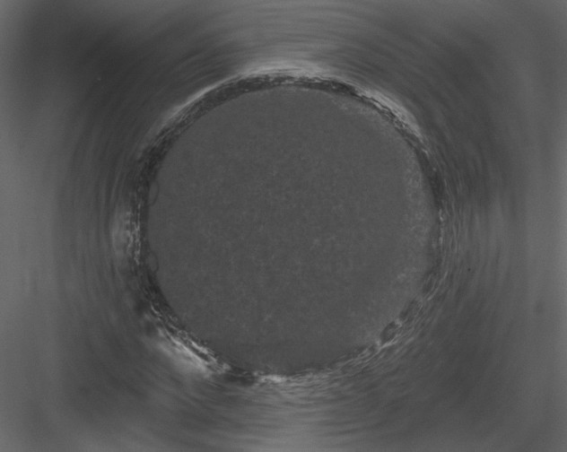 X0000084050872200702232349