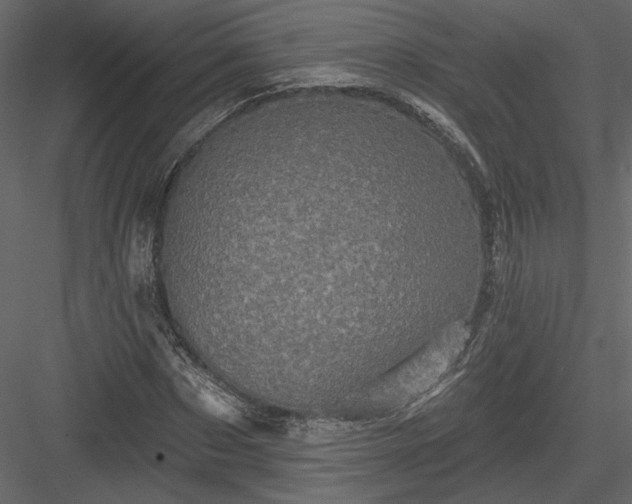 X0000084050873200702232349